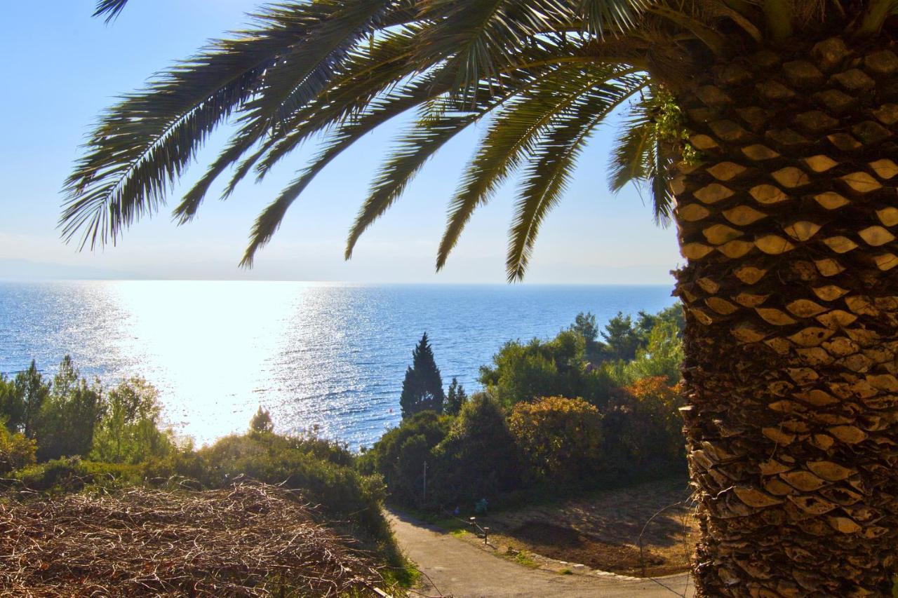 Gdinj Seaside Secluded Apartments Cove Tvrdni Dolac, Hvar - 4008 מראה חיצוני תמונה
